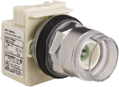 Schneider Electric - 1.18 Inch Mount Hole, Extended Straight, Pushbutton Switch Only - Round, Green Pushbutton, Illuminated, Momentary (MO), Weatherproof, Dust and Oil Resistant - Eagle Tool & Supply