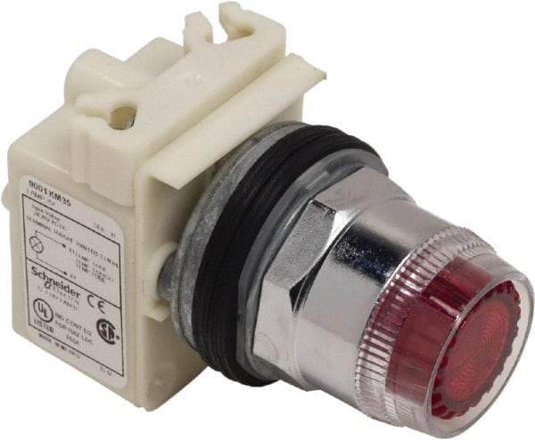 Schneider Electric - 1.18 Inch Mount Hole, Extended Straight, Pushbutton Switch Only - Round, Red Pushbutton, Illuminated, Momentary (MO), Weatherproof, Dust and Oil Resistant - Eagle Tool & Supply
