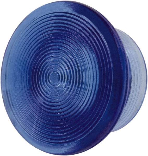 Schneider Electric - Extended Mushroom Head Pushbutton Switch Knob - Blue, Round Button, Incandescent Lamp, Illuminated - Eagle Tool & Supply