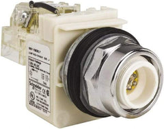 Schneider Electric - 120 VAC LED Indicating Light - Screw Clamp Connector - Eagle Tool & Supply