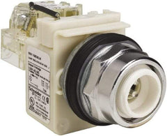 Schneider Electric - 120 VAC LED Indicating Light - Screw Clamp Connector - Eagle Tool & Supply