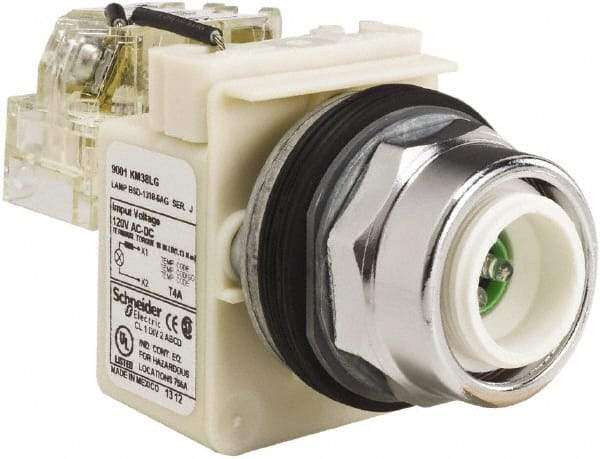 Schneider Electric - 120 VAC LED Indicating Light - Screw Clamp Connector - Eagle Tool & Supply