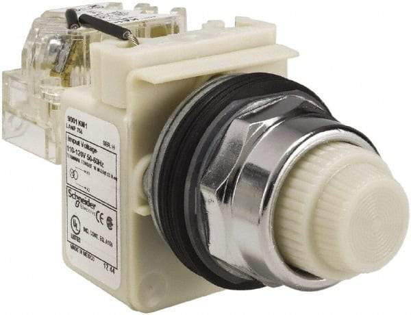 Schneider Electric - 120 VAC White Lens Indicating Light - Screw Clamp Connector - Eagle Tool & Supply