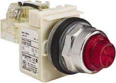 Schneider Electric - 24-28 VAC/VDC Red Lens Indicating Light - Screw Clamp Connector - Eagle Tool & Supply