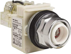 Schneider Electric - 120 VAC LED Indicating Light - Screw Clamp Connector - Eagle Tool & Supply