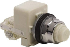 Schneider Electric - 120 VAC White Lens LED Indicating Light - Screw Clamp Connector - Eagle Tool & Supply