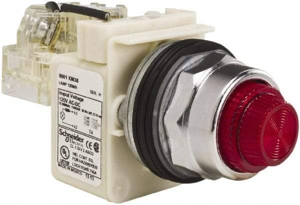 Schneider Electric - 120 VAC Red Lens Indicating Light - Screw Clamp Connector - Eagle Tool & Supply