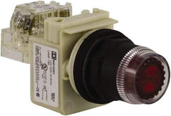 Schneider Electric - 30mm Mount Hole, Extended Straight, Pushbutton Switch with Contact Block - Red Pushbutton, Momentary (MO) - Eagle Tool & Supply