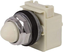 Schneider Electric - 120 VAC White Lens Indicating Light - Screw Clamp Connector - Eagle Tool & Supply