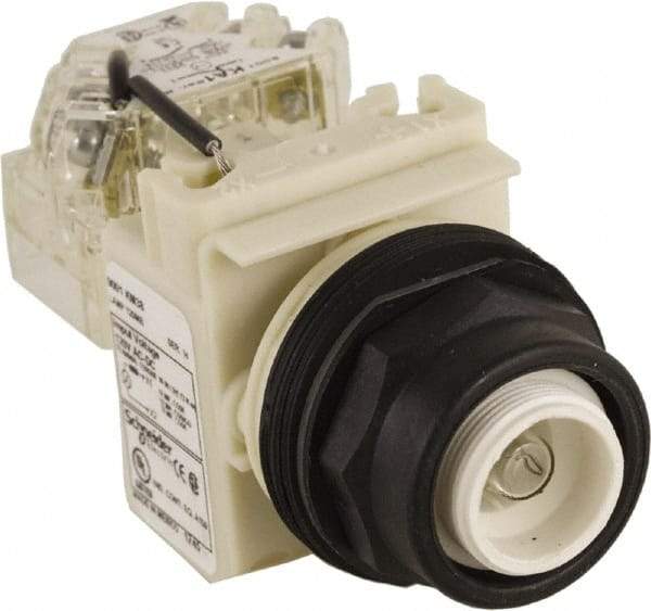 Schneider Electric - 120 V Press-to-Test Indicating Light - Round Lens, Screw Clamp Connector, Corrosion Resistant, Dust Resistant, Oil Resistant - Eagle Tool & Supply