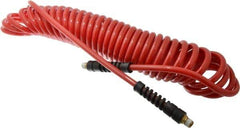 PRO-SOURCE - 5/16" ID, 1/4 Thread, 25' Long, Red Polyurethane Coiled & Self Storing Hose - 120 Max psi, Male Swivel x Male Swivel - Eagle Tool & Supply