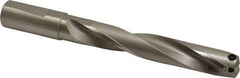 Guhring - 0.925 to 0.944" Diam, 124.5mm Max Depth, 25.4mm Shank Diam, 221mm OAL, Replaceable Tip Drill - HT 800 WP Insert, Series 4108 - Eagle Tool & Supply