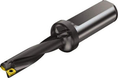 Sandvik Coromant - 91mm Max Drill Depth, 4xD, 22mm Diam, Indexable Insert Drill - 2 Inserts, 25mm Shank Diam, Flange Shank - Eagle Tool & Supply