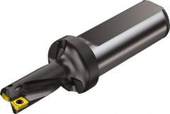 Sandvik Coromant - 46mm Max Drill Depth, 2xD, 21mm Diam, Indexable Insert Drill - 2 Inserts, 25mm Shank Diam, Flange Shank - Eagle Tool & Supply