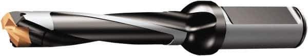 Sandvik Coromant - 21 to 21.99mm Diam, 5xD, 113.28mm Max Depth, 1" Shank Diam, 133.68mm Flute, 193mm OAL, Replaceable Tip Drill - 870-2190-21-PM Insert, 21 Seat Size, 870...LX-5 Toolholder, Series CoroDrill 870 - Eagle Tool & Supply