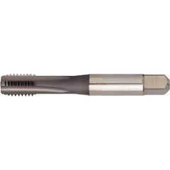 GT405033 M6X1 6HX STFL SBOTT - Exact Industrial Supply