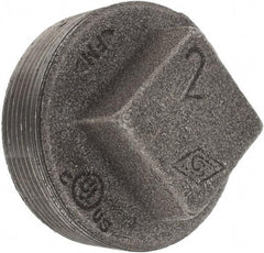 Value Collection - Size 2", Class 150, Malleable Iron Black Pipe Square Plug - 150 psi, Threaded End Connection - Eagle Tool & Supply