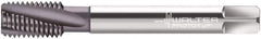 Walter-Prototyp - M16x2.00 Metric 4 Flute 6HX Modified Bottoming Spiral Flute Tap - Powdered Metal, AlCrN Finish, 110mm OAL, Right Hand Flute, Right Hand Thread, Series 2046663 - Eagle Tool & Supply