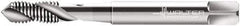 Walter-Prototyp - M6x1.00 Metric 2 Flute 6G Modified Bottoming Spiral Flute Tap - Cobalt, Bright Finish, 80mm OAL, Right Hand Flute, Right Hand Thread, Series N20536 - Exact Industrial Supply