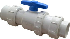 Little Giant Pumps - 2" PVC Check Valve - Inline, Union - Eagle Tool & Supply