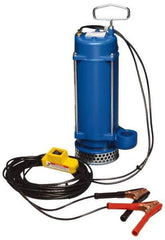 Warren Rupp - 1/3 hp, 12 VDC Amp Rating, 12 VDC Volts, Nonautomatic Operation, Dewatering Pump - Aluminum Housing - Eagle Tool & Supply