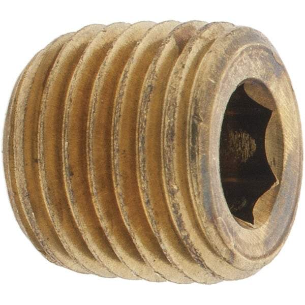Parker - 1/4 Male Thread, Brass Industrial Pipe Hollow Hex Plug - MNPTF, 1,000 psi - Eagle Tool & Supply