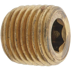 Parker - 1/4 Male Thread, Brass Industrial Pipe Hollow Hex Plug - MNPTF, 1,000 psi - Eagle Tool & Supply