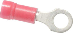 Thomas & Betts - 22-16 AWG Partially Insulated Crimp Connection D Shaped Ring Terminal - #10 Stud, 0.97" OAL x 0.31" Wide, Tin Plated Copper Contact - Eagle Tool & Supply