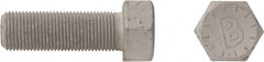 Bowmalloy - 5/16-18, 5/8" Long Hex Head Cap Screw - Eagle Tool & Supply