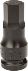 Paramount - 1/2" Drive, 5/8" Impact Hex Bit Socket - 1-7/16" Bit Length, 2-1/4" OAL - Eagle Tool & Supply
