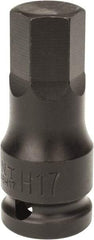 Paramount - 1/2" Drive, 17mm Impact Hex Bit Socket - 1-7/16" Bit Length, 2-5/16" OAL - Eagle Tool & Supply
