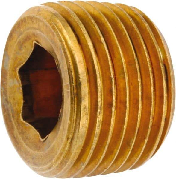 ANDERSON METALS - 1/2-14 Male Thread, Lead Free Brass Industrial Pipe Hollow Hex Plug - MNPT, 1,000 psi - Eagle Tool & Supply
