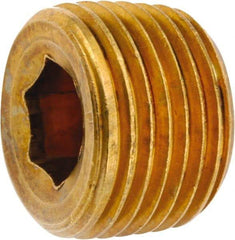 ANDERSON METALS - 1/2-14 Male Thread, Lead Free Brass Industrial Pipe Hollow Hex Plug - MNPT, 1,000 psi - Eagle Tool & Supply