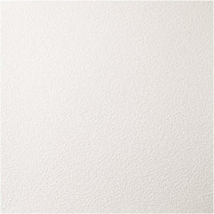 Genesis - Pack of 12 Stucco Pro 23-3/4" x 23-3/4" x 0.197" Vinyl Ceiling Tiles - Eagle Tool & Supply