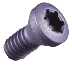 Seco - Torx Plus Lock Screw for Indexable Milling - For Use with Inserts - Eagle Tool & Supply