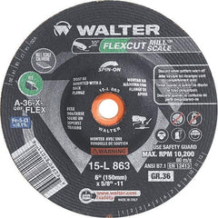 WALTER Surface Technologies - 6" Diam, 36 Grit Surface Grinding Wheel - Eagle Tool & Supply