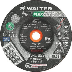 WALTER Surface Technologies - 5" Diam, 36 Grit Surface Grinding Wheel - Eagle Tool & Supply