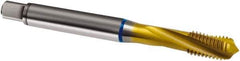 Guhring - M10x1.50 Metric 3 Flute 6H Modified Bottoming Spiral Flute Tap - Cobalt, TiN Finish, 100mm OAL, Right Hand Flute, Right Hand Thread, D4/D5, Series 2896 - Eagle Tool & Supply