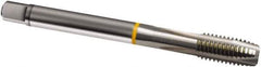 Guhring - M1.6x0.35 Metric, 2 Flute, Bright Finish, Cobalt Spiral Point Tap - Plug Chamfer, Right Hand Thread, 40mm OAL, 6H Class of Fit, Series 815 - Exact Industrial Supply