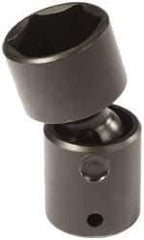 Proto - 1/2" Drive 13/16" Standard Universal Impact Socket - 6 Points, 2-19/32" OAL - Eagle Tool & Supply