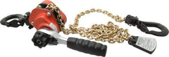 CM - 1,100 Lb Lifting Capacity, 5' Lift Height, Mini-Ratchet Lever Hoist - Made from Chain, 56 Lb Avg Pull to Lift Rated Load, 1 Chain - Eagle Tool & Supply