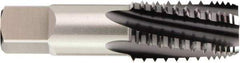 OSG - 1/8-27 NPTF, 3 Flutes, TiCN Coated, High Speed Steel, Interrupted Thread Pipe Tap - 7/16 Inch Shank Diameter, 7/16 Inch Shank Diameter, 3/4 Inch Thread Length, 0.32 Inch Square Size, 2-1/2 Chamfer, Series 12054 - Eagle Tool & Supply
