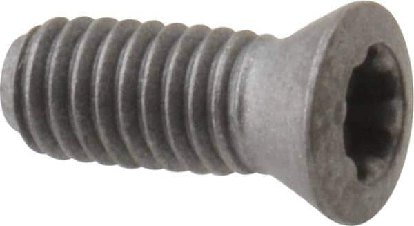 Walter - Screw for Indexable Tools - F4042 Series - Eagle Tool & Supply