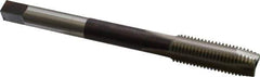 Hertel - M16x2.00 Metric Coarse 3 Flute D7 High Speed Steel Spiral Point Extension Tap - Plug Chamfer, 6" OAL, 6H Class of Fit - Eagle Tool & Supply