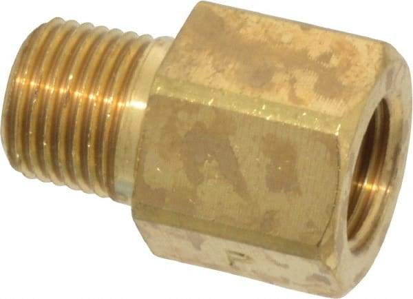 Parker - 1/8 Male Thread x 1/8 Female Thread, Brass Industrial Pipe Adapter - MNPTF x FBSPP, 1,000 psi - Eagle Tool & Supply