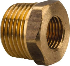 Parker - 1/2 Male Thread x 1/4 Female Thread, Brass Industrial Pipe Hex Bushing - MBSPT x FBSPP, 1,000 psi - Eagle Tool & Supply