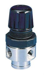 Parker - 1/2 NPT Port, 80 CFM, Stainless Steel Standard Regulator - 0 to 250 psi Range, 300 Max psi Supply Pressure, 1/4" Gauge Port Thread, 2.43" Wide x 4.97" High - Eagle Tool & Supply