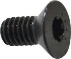 Camcar - 5/16-18 UNC Torx Plus Drive, 82° Flat Screw - Alloy Steel, Black Oxide Finish, Fully Threaded, 5/8" OAL - Eagle Tool & Supply