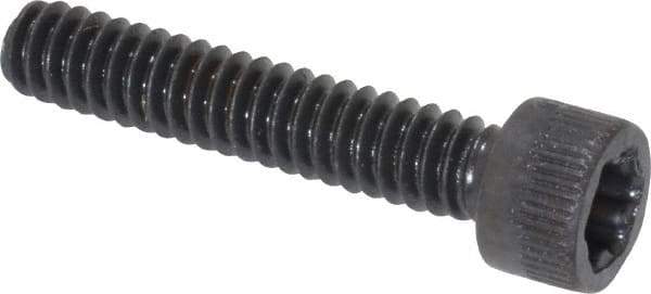Camcar - #10-24 UNC Torx Plus Drive, Socket Cap Screw - Alloy Steel, Black Oxide Finish, Fully Threaded, 1" Length Under Head - Eagle Tool & Supply
