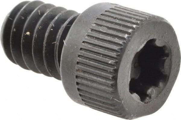 Camcar - 1/4-20 UNC Torx Plus Drive, Socket Cap Screw - Alloy Steel, Black Oxide Finish, Fully Threaded, 3/8" Length Under Head - Eagle Tool & Supply